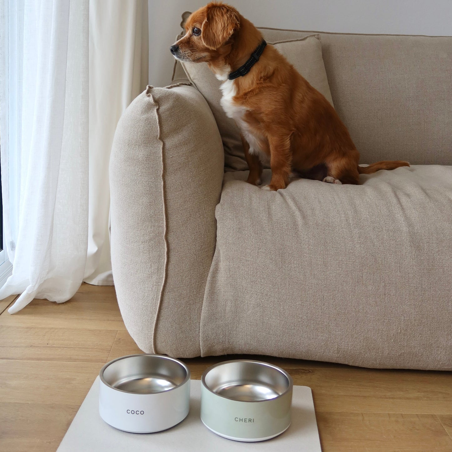 Pet Bowl - Sage Green