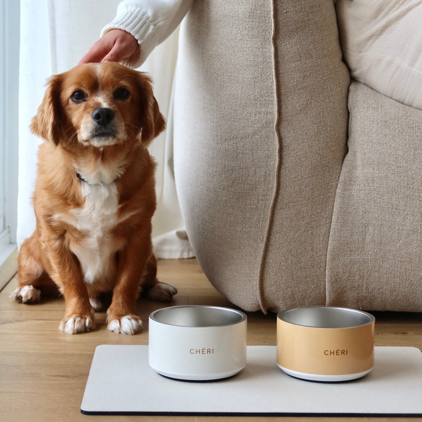 Pet Bowl - Sand Yellow