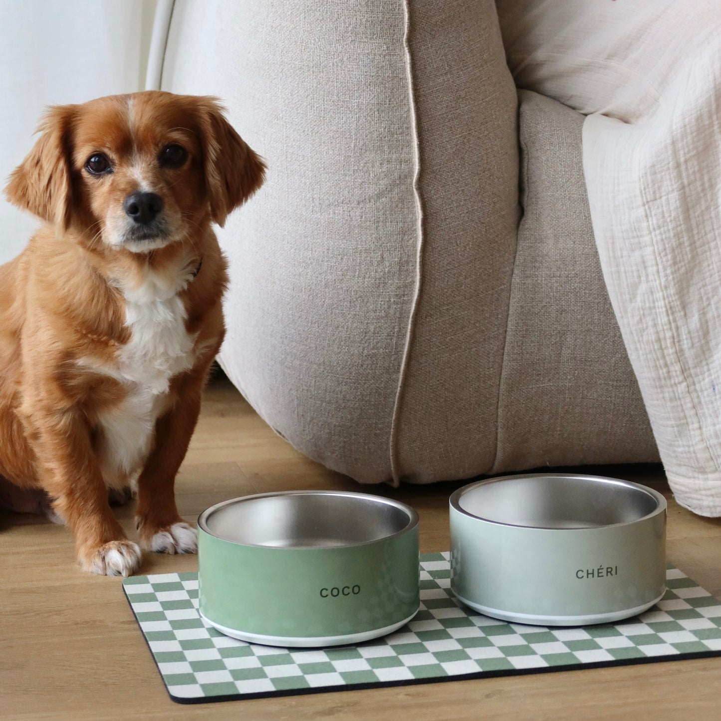 Pet Bowl - Moss Green