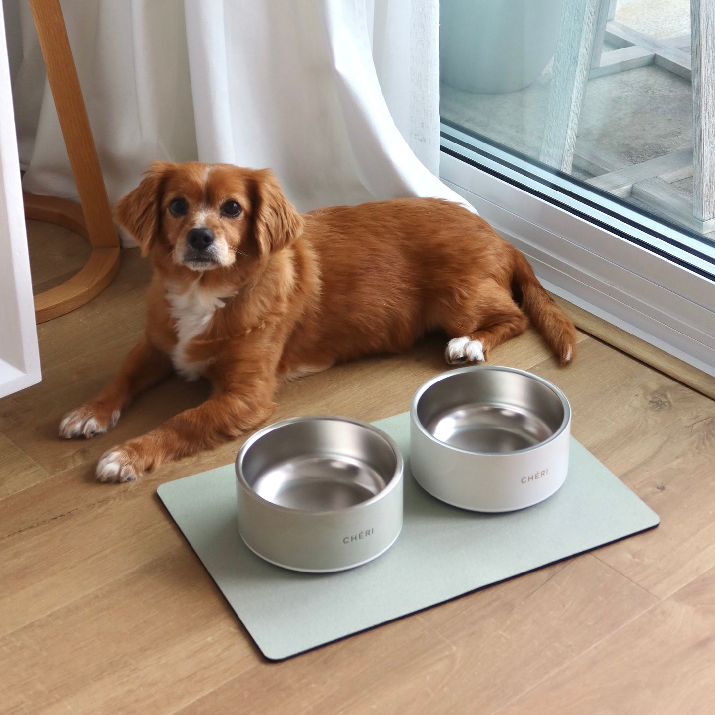 Pet Bowl - Bone Beige