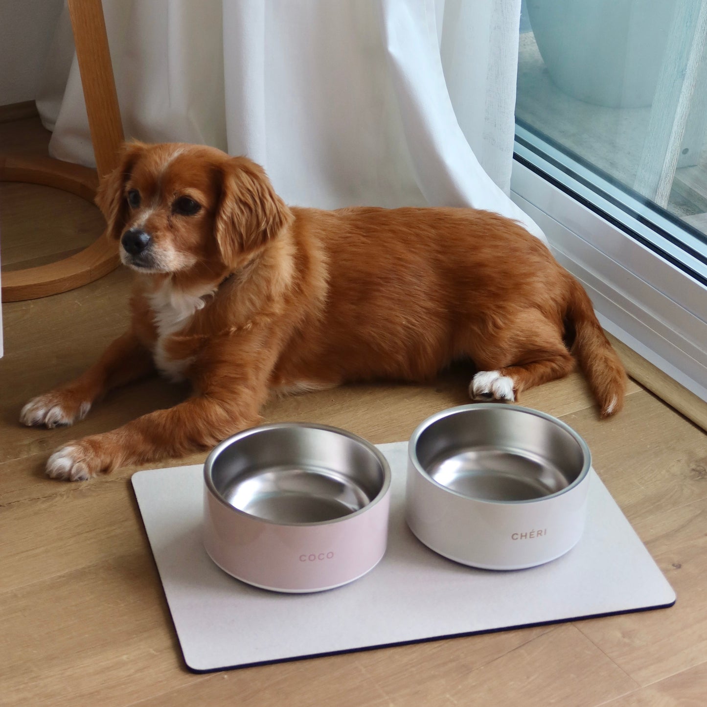 Pet Bowl - Rose Pink