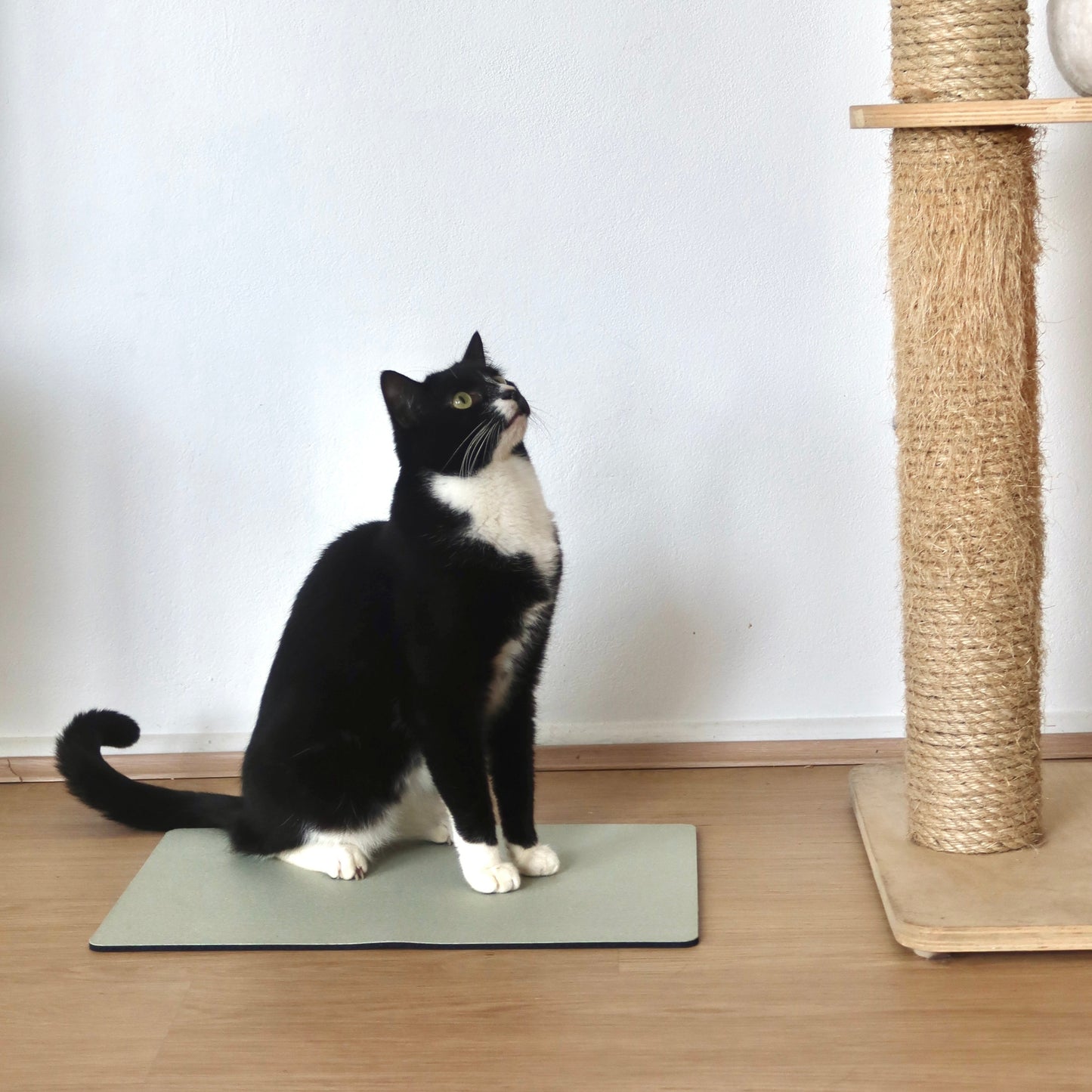 Pet Mat - Sage Green